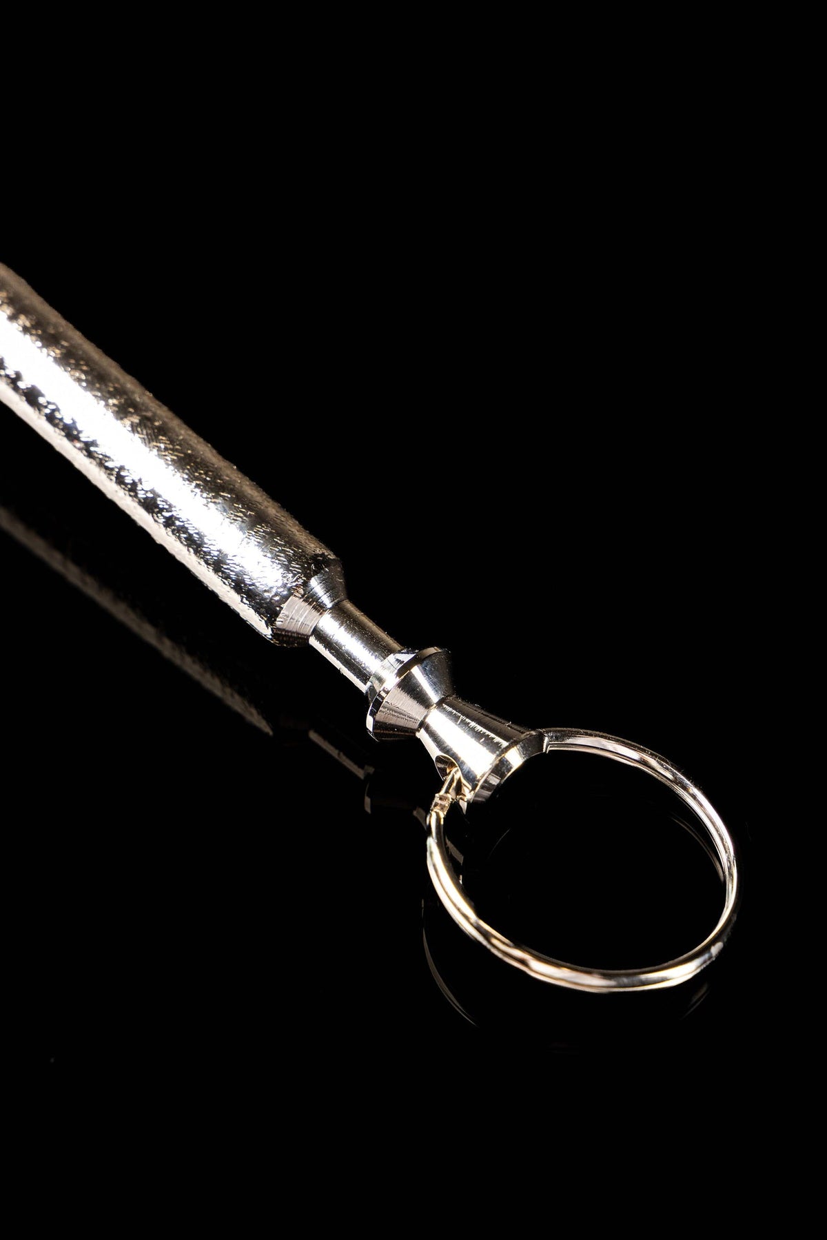 Hisopo litúrgico de metal con cabezal, mango y estuche, 17 cm